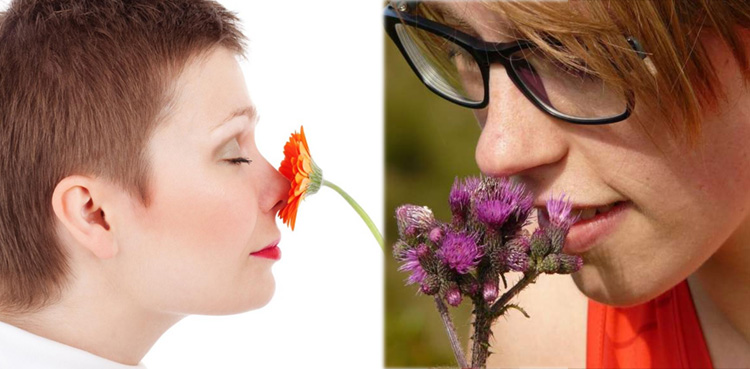 سونگھنے کی حِس میں کمی کا موت سے کیا تعلق ہے؟ ہوشربا تحقیق