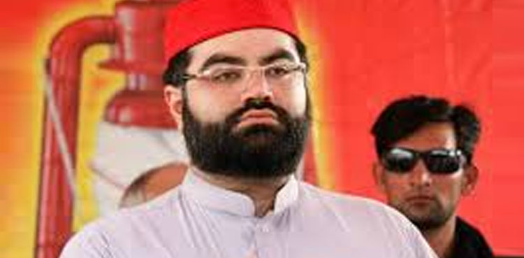 سینیٹر ایمل ولی نے چیئرمین پی ٹی اے کو معاف کردیا