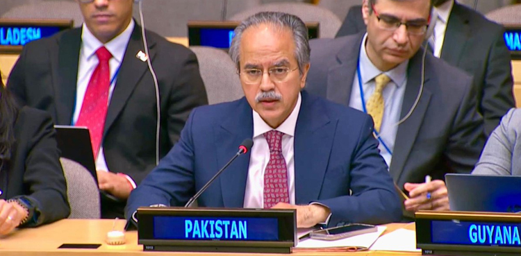 اسرائیلی حملہ عالمی قوانین کی کھلی خلاف ورزی ہے، پاکستانی مندوب