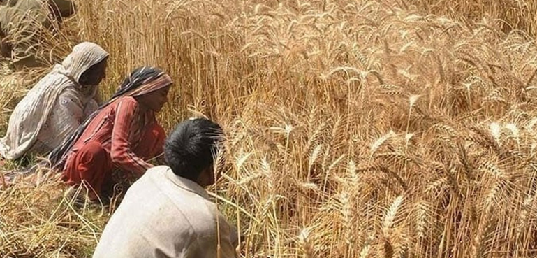 کسانوں کے لیے بڑی خوشخبری آ گئی