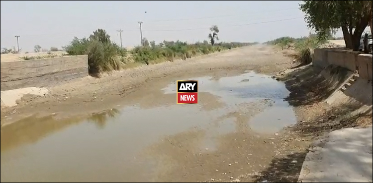 کھیر تھر کینال میں پانی کیوں بند ہے؟ اوستہ محمد کے شہری بوند بوند کو ترس گئے، ویڈیو رپورٹ