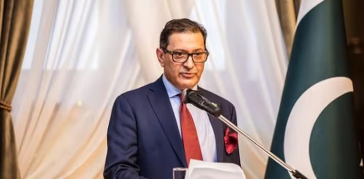 حملہ کیا تو جوہری طاقت استعمال کر سکتے ہیں، پاکستانی سفیر نے بھارت کو خبردار کردیا