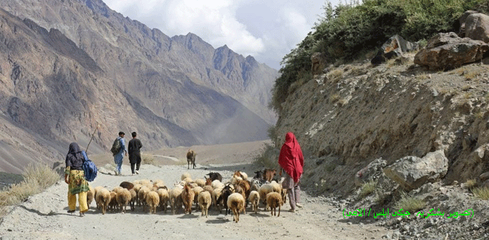 پاکستان: مصدق ملک کے پانی، موسمیاتی آفات اور گرمی کی شدت کے حوالے سے خیالات