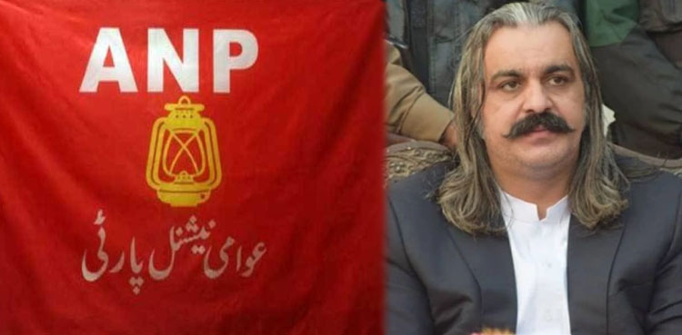 وزیراعلیٰ گنڈاپور پر قتل کا مقدمہ درج ہونا چاہیے، اے این پی مدعی بنے گی