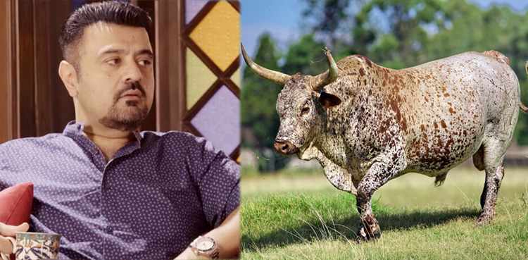 احمد بٹ