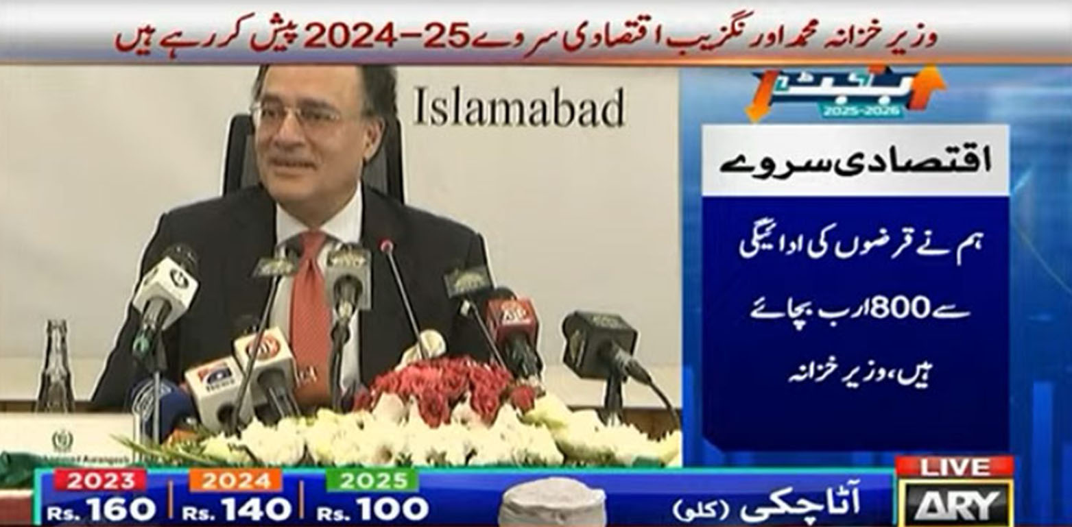 اکنامک سروے، محمد اورنگزیب