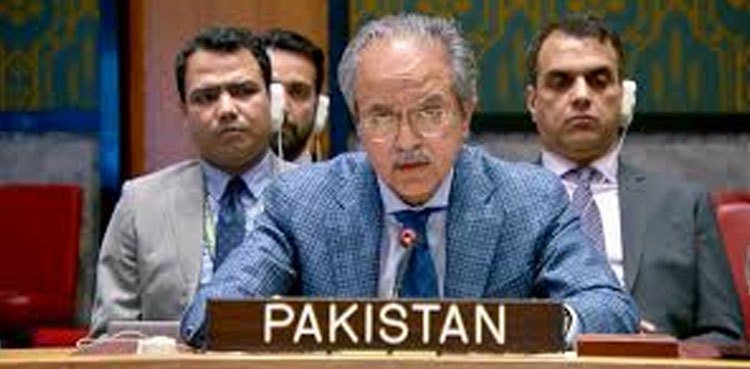 پاکستان کا غزہ میں نسل کشی روکنے کیلئے سلامتی کونسل سے فوری اقدام کا مطالبہ