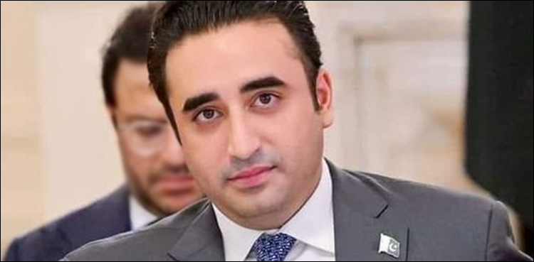 پاکستان پیپلز پارٹی نے وفاقی بجٹ کو ووٹ دینے کا فیصلہ کر لیا