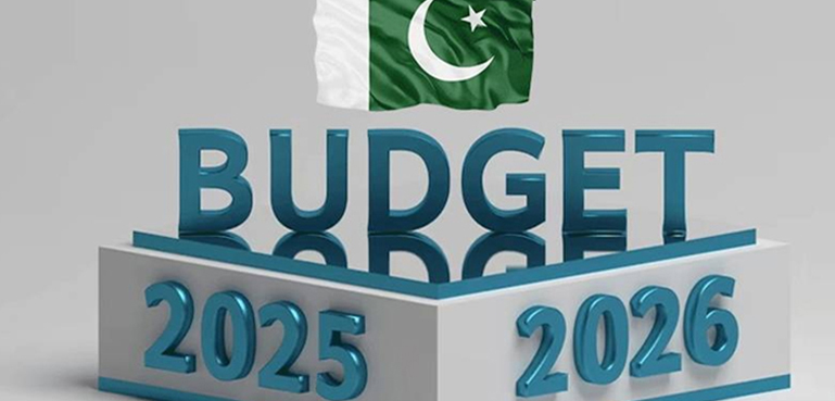 بجٹ میں کیا کیا چیزیں سستی ہوئیں؟