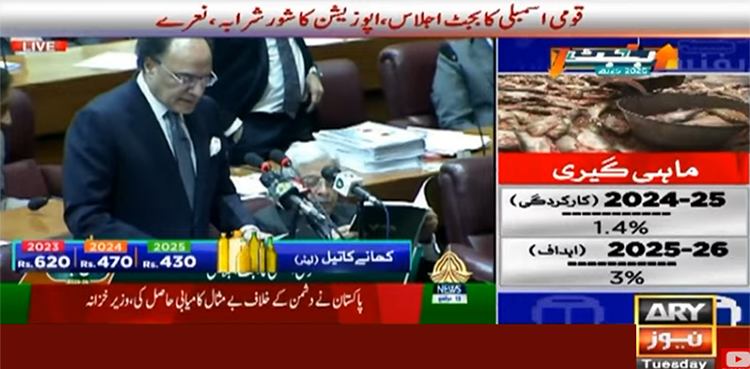 مالی سال 2025-26 کا بجٹ پیش، تنخواہ داروں کیلیے ریلیف کا اعلان