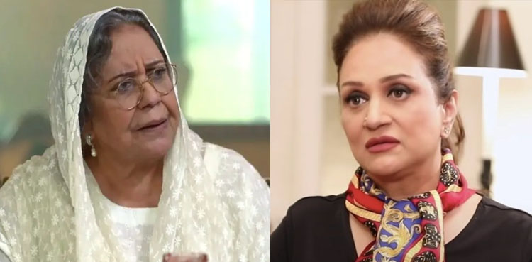 بشریٰ انصاری نے عائشہ خان کے بچوں سے متعلق وضاحت دے دی