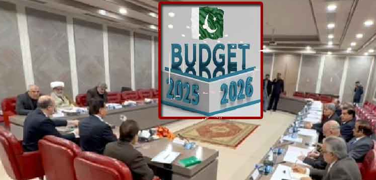 وفاقی کابینہ نے بجٹ 26-2025 تجاویز کی منظوری دے دی