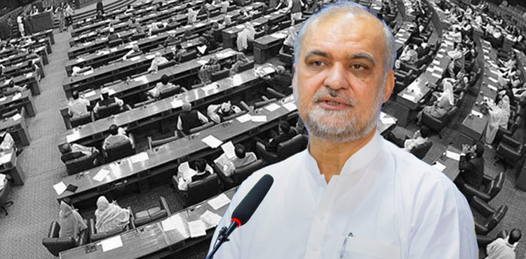 اصولی سیاست والی جماعتوں کو مخصوص نشستیں لینے سے انکار کرنا چاہیے، حافظ نعیم
