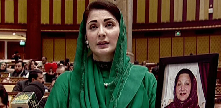 مریم نواز پنجاب کے عوام کے 10 کھرب روپے ڈکار گئی ہیں، بیرسٹر سیف