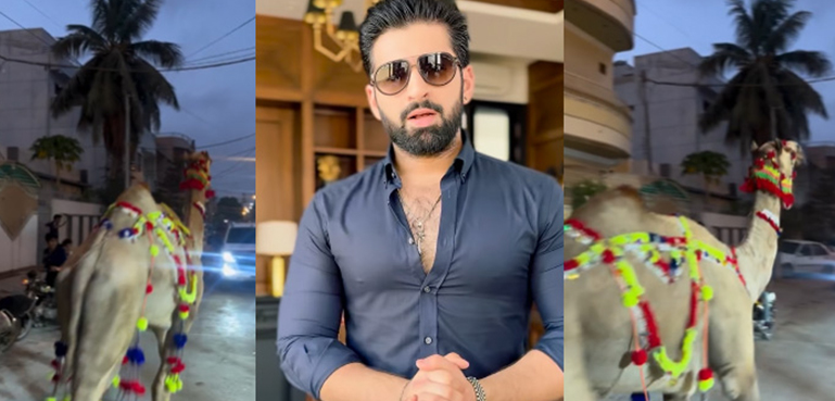 اداکار منیب بٹ کا قربانی کے لیے لایا گیا اونٹ بھاگ گیا