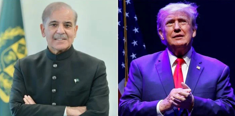 وزیراعظم شہباز شریف نے ڈونلڈ ٹرمپ کو ‘امن کا پیامبر’ قرار دے دیا