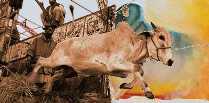 وہ گیا بیل ہمارا…