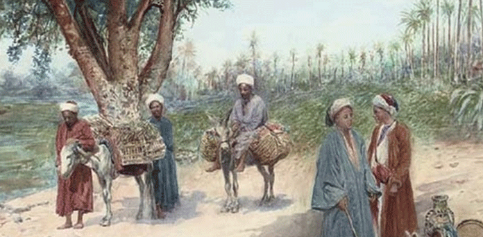 عقل سے نصیب نہیں بنایا جاسکتا!