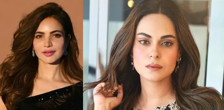 حمیرا اصغر کی کہانی بہت سے فنکاروں کی کہانی ہے، امر خان