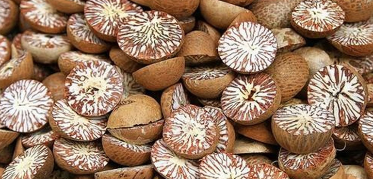 سیمنٹ کی بوریوں میں چھپا کر چھالیہ اسمگل کی کوشش ناکام