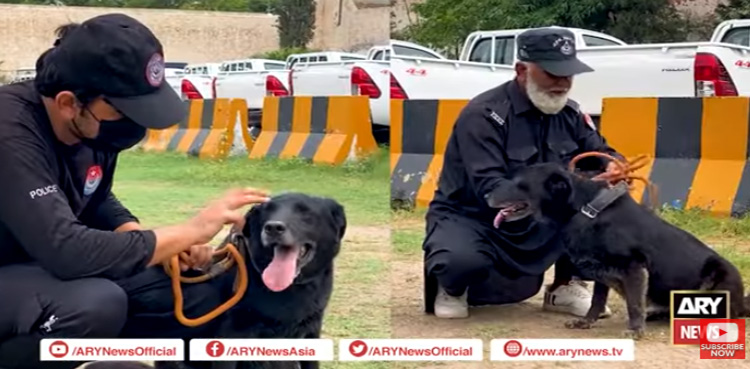 بارودی مواد سونگھنے والے پولیس کے دو ہیروز کی ریٹائرمنٹ