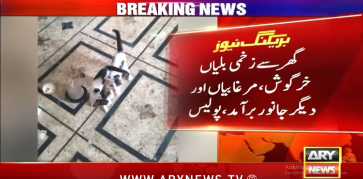 جانوروں پر تشدد اور مارنے کی دھمکی دینے والی خاتون کے خلاف مقدمہ درج