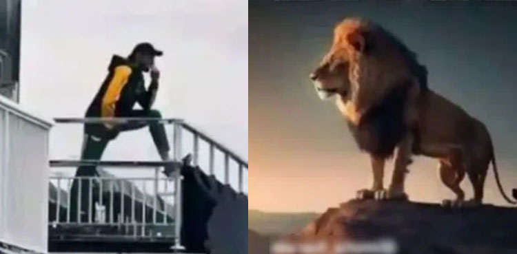 شاہد آفریدی کو سوشل میڈیا صارفین نے ’لائن کنگ‘ قرار دے دیا
