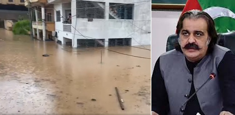 پنجاب میں بارشوں سے تباہی، علی امین گنڈاپور کی ہر ممکن تعاون کی پیشکش