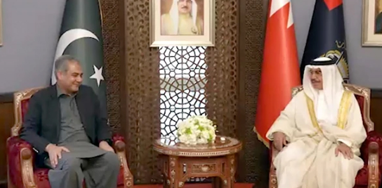 وزیر داخلہ کی بحرینی ہم منصب سے ملاقات