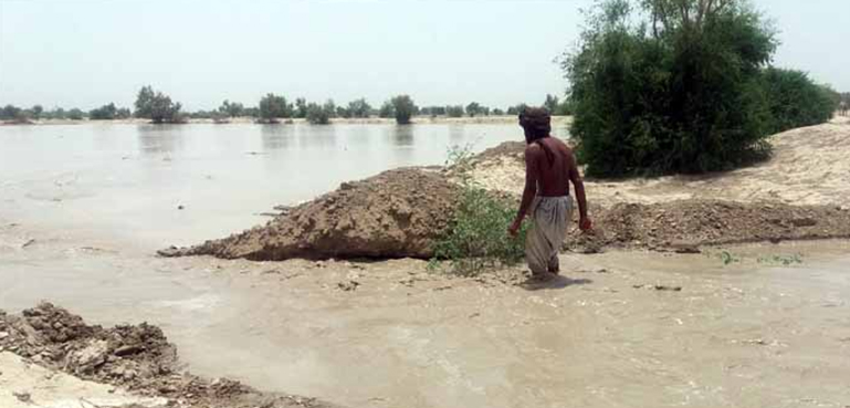 سندھ کے سیلاب متاثرہ کسانوں کے لیے بڑی خوشخبری