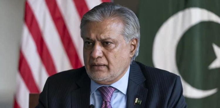 عافیہ صدیقی کیس حوالے کو سیاق و سباق سے ہٹ کرلیا جارہا ہے، اسحاق ڈار