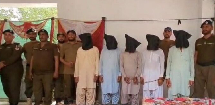کچے میں ڈکیت گینگ نے چھینے گئے سو جانوروں سمیت سرینڈر کردیا