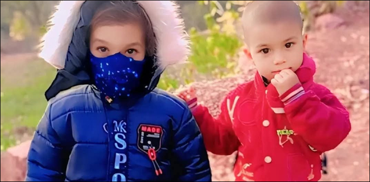 کوٹلی آزاد کشمیر میں زہریلے سانپ نے ننھے بہن بھائی کو ڈس لیا
