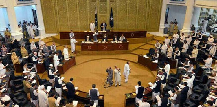’کل ہونے والا سینیٹ الیکشن ناممکن ہے‘ کور دلشاد