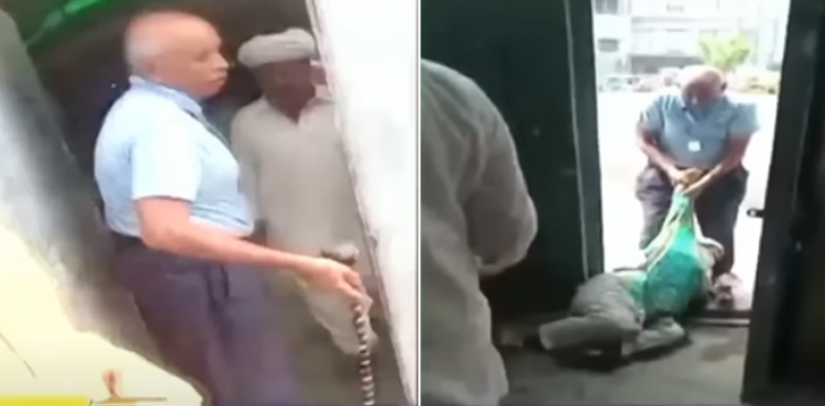 بجلی کا بل ٹھیک کرانے آئی معمر خاتون کو گھسیٹ کر گیٹ سے باہر نکالنے والا  لیسکو گارڈ معطل