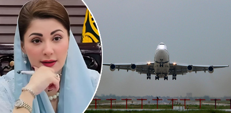 مریم نواز ایئرپورٹس پرندوں کے گھونسلے