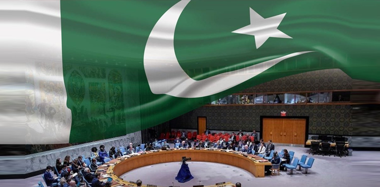 پاکستان اقوام متحدہ کی  سلامتی کونسل کا سربراہ بن گیا