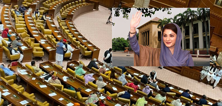 مسلم لیگ ن پنجاب اسمبلی میں سب سے بڑی جماعت بن گئی