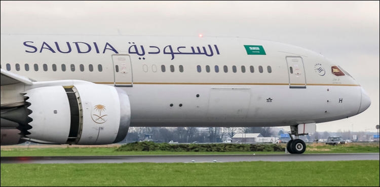 سعودیہ الفرسان