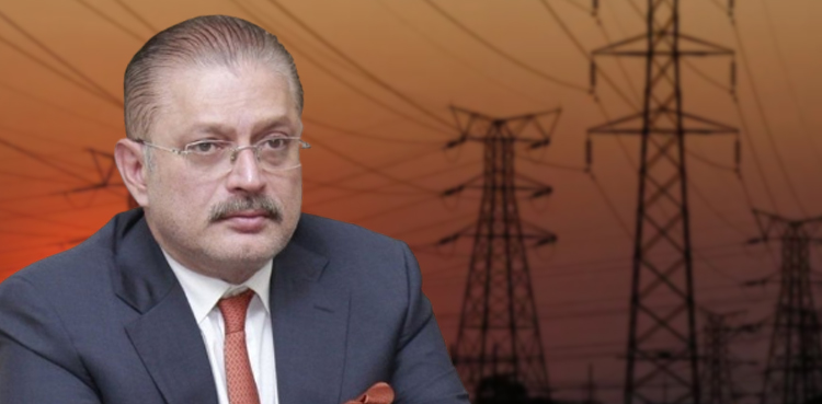 سندھ ملک کو توانائی کے بحران سے نکال سکتا ہے، شرجیل میمن