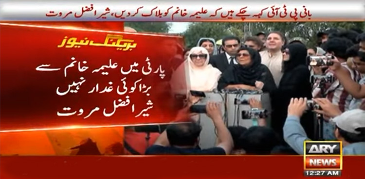 پی ٹی آئی میں علیمہ خانم سے بڑا کوئی غدار نہیں، شیر افضل مروت