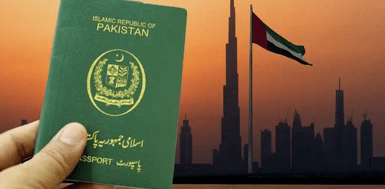 محسن نقوی کا دورہ یو اے ای، پاکستانیوں کے ویزا مسائل جلد حل ہونے کی امید