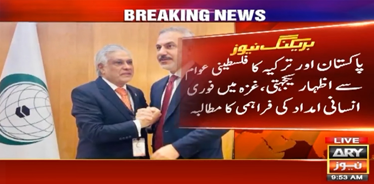 پاکستان اور ترکیہ کا غزہ میں فوری انسانی امداد کی فراہمی کا مطالبہ
