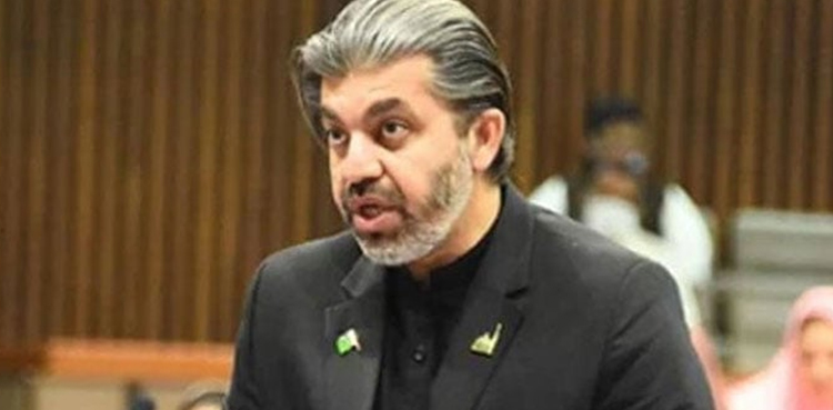 علی محمد خان قومی اسمبلی کی قائمہ کمیٹیوں سے مستعفی