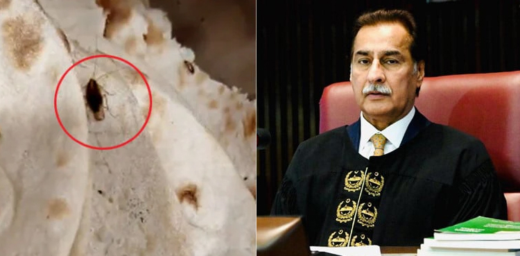 پارلیمنٹ کیفے ٹیریا میں کھانے سے کاکروچ نکلنے پر اسپیکر قومی اسمبلی کا ایکشن