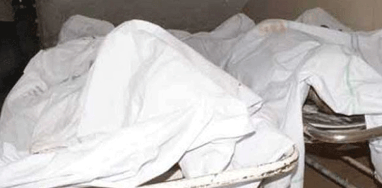 شوہر نے بیوی اور ڈیرے کے مالک کو اینٹوں کے وار سے قتل کردیا