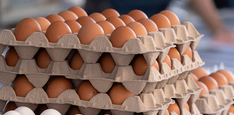 براؤن انڈے مارکیٹ سے واپس کیوں منگوالیے گئے؟ وجہ سامنے آگئی