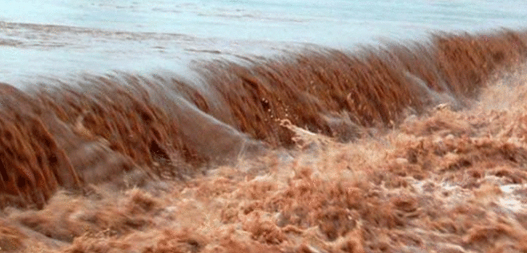 بھارت کی جانب سے چھوڑا گیا سیلابی ریلا پاکستانی حدود میں داخل