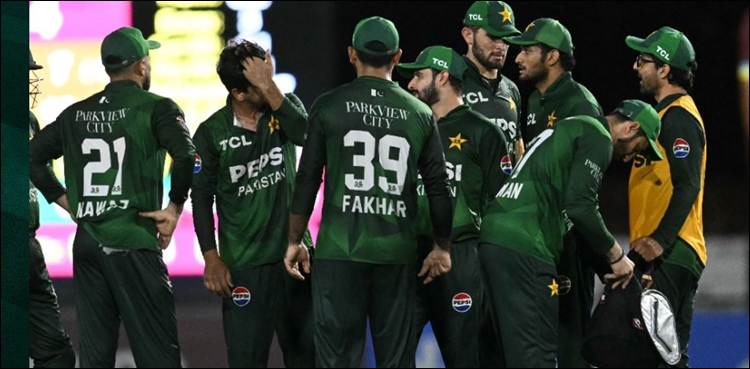 دوسرا ٹی 20، ویسٹ انڈیز نے پاکستان کو 2 وکٹوں سے شکست دے دی