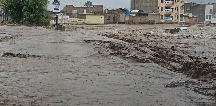 17 اگست 2025: پی ڈی ایم اے نے پنجاب کے بیشتر اضلاع میں شدید مون سون بارشوں کی پیشگوئی کر دی، کلاؤڈ برسٹ کا خدشہ